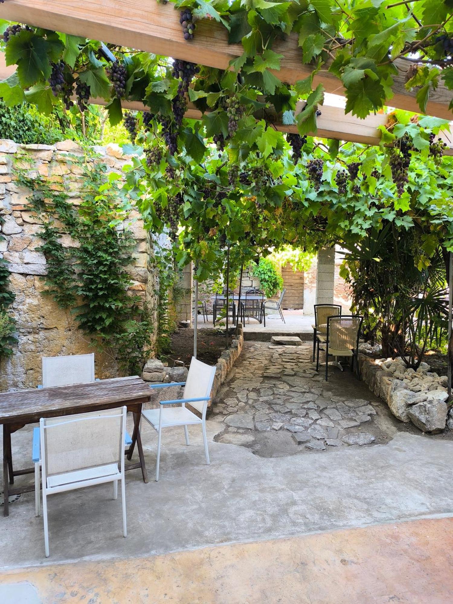 Casa Di Marko 105 M2 Garden Lägenhet Rovinj Exteriör bild